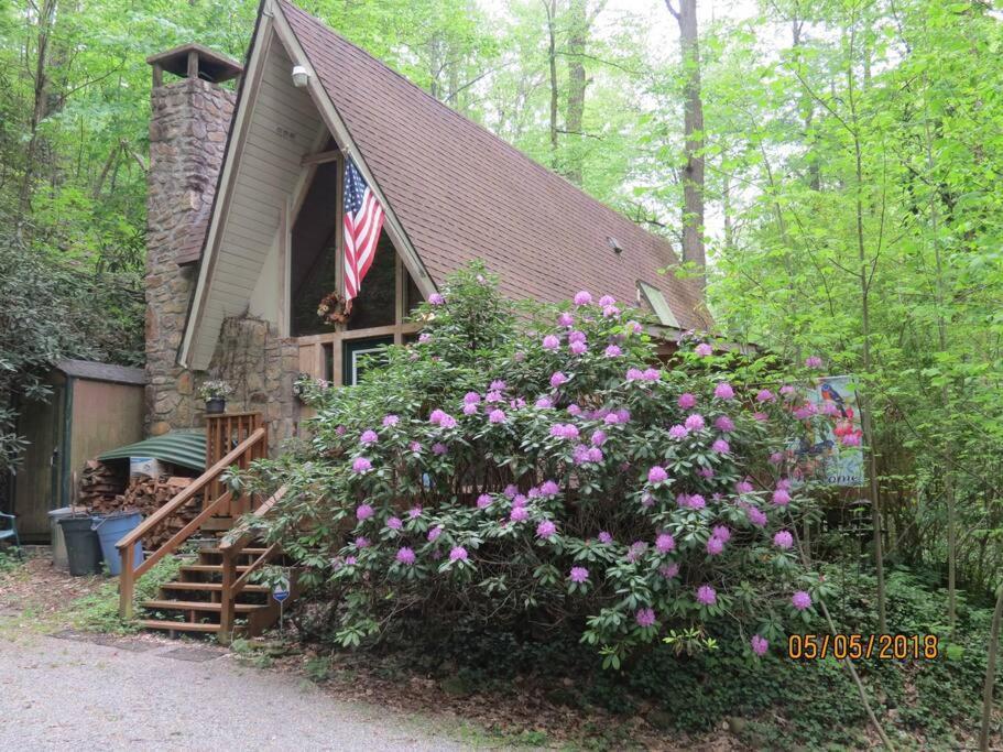 Mountain Springs Chalet Гатлинбург Экстерьер фото